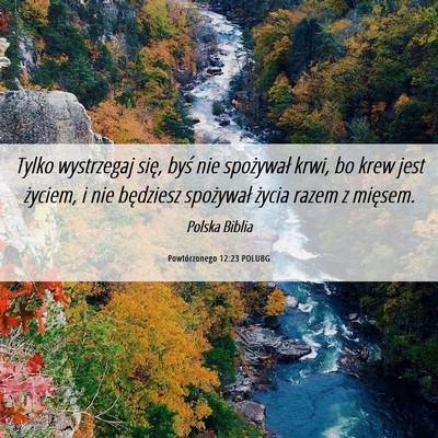 Picture 06 - Powtórzonego 12:23 POLUBG - Tylko wystrzegaj się, byś nie spożywał krwi, - Bible Verse Picture