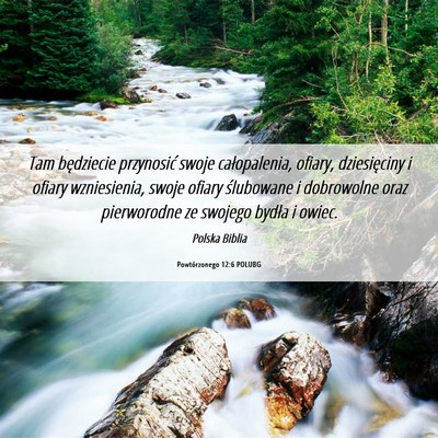 Picture 06 - Powtórzonego 12:6 POLUBG - Tam będziecie przynosić swoje całopalenia, - Bible Verse Picture
