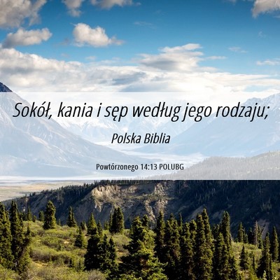 Picture 06 - Powtórzonego 14:13 POLUBG - Sokół, kania i sęp według jego - Bible Verse Picture