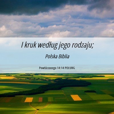 Picture 06 - Powtórzonego 14:14 POLUBG - I kruk według jego - Bible Verse Picture