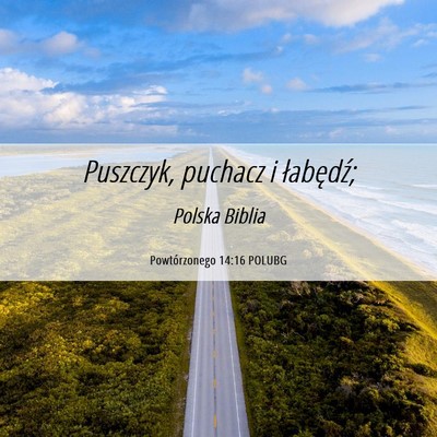 Picture 06 - Powtórzonego 14:16 POLUBG - Puszczyk, puchacz i - Bible Verse Picture