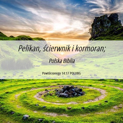 Picture 06 - Powtórzonego 14:17 POLUBG - Pelikan, ścierwnik i - Bible Verse Picture