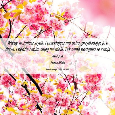Picture 06 - Powtórzonego 15:17 POLUBG - Wtedy weźmiesz szydło i przekłujesz mu ucho, - Bible Verse Picture
