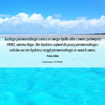 Picture 06 - Powtórzonego 15:19 POLUBG - Każdego pierworodnego samca ze swego bydła albo - Bible Verse Picture