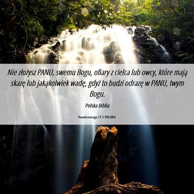 Picture 06 - Powtórzonego 17:1 POLUBG - Nie złożysz PANU, swemu Bogu, ofiary z cielca - Bible Verse Picture