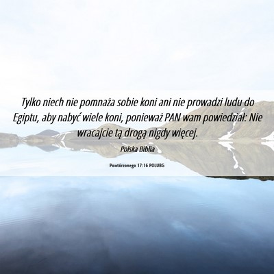 Picture 06 - Powtórzonego 17:16 POLUBG - Tylko niech nie pomnaża sobie koni ani nie - Bible Verse Picture