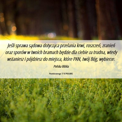 Picture 06 - Powtórzonego 17:8 POLUBG - Jeśli sprawa sądowa dotycząca przelania krwi, - Bible Verse Picture