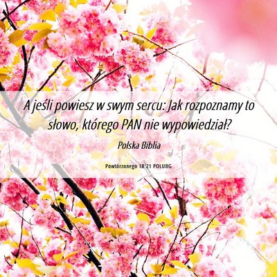 Picture 06 - Powtórzonego 18:21 POLUBG - A jeśli powiesz w swym sercu: Jak rozpoznamy to - Bible Verse Picture