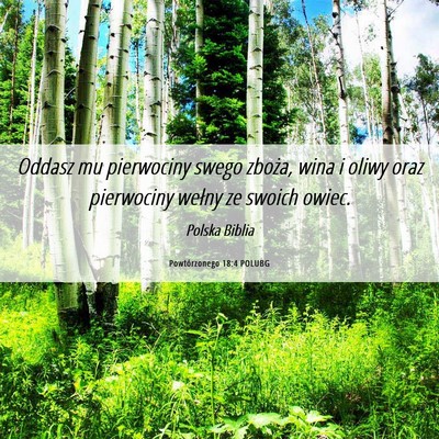 Picture 06 - Powtórzonego 18:4 POLUBG - Oddasz mu pierwociny swego zboża, wina i oliwy - Bible Verse Picture