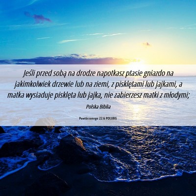 Picture 06 - Powtórzonego 22:6 POLUBG - Jeśli przed sobą na drodze napotkasz ptasie - Bible Verse Picture