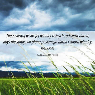 Picture 06 - Powtórzonego 22:9 POLUBG - Nie zasiewaj w swojej winnicy różnych rodzajów - Bible Verse Picture