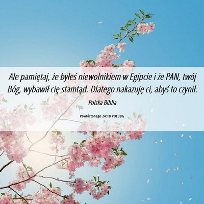 Picture 06 - Powtórzonego 24:18 POLUBG - Ale pamiętaj, że byłeś niewolnikiem w Egipcie - Bible Verse Picture