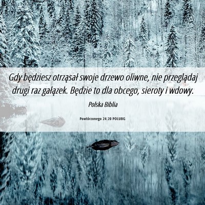 Picture 06 - Powtórzonego 24:20 POLUBG - Gdy będziesz otrząsał swoje drzewo oliwne, nie - Bible Verse Picture