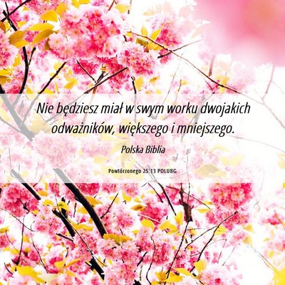 Picture 06 - Powtórzonego 25:13 POLUBG - Nie będziesz miał w swym worku dwojakich - Bible Verse Picture