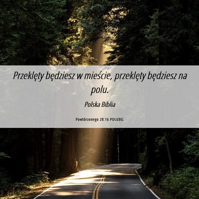 Picture 06 - Powtórzonego 28:16 POLUBG - Przeklęty będziesz w mieście, przeklęty - Bible Verse Picture