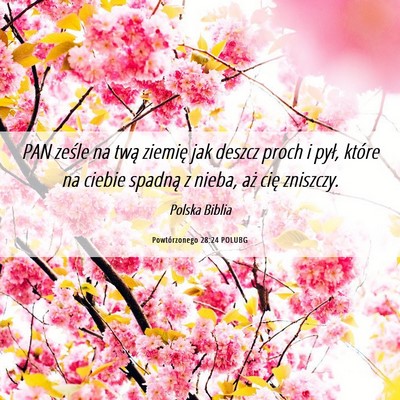 Picture 06 - Powtórzonego 28:24 POLUBG - PAN ześle na twą ziemię jak deszcz proch i - Bible Verse Picture
