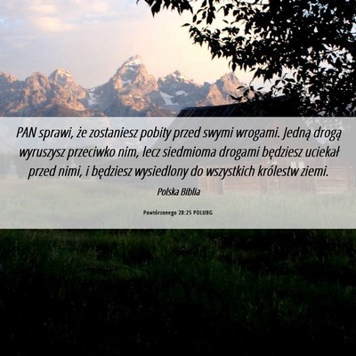 Picture 06 - Powtórzonego 28:25 POLUBG - PAN sprawi, że zostaniesz pobity przed swymi - Bible Verse Picture