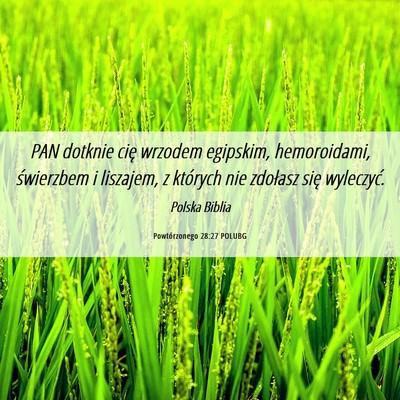 Picture 06 - Powtórzonego 28:27 POLUBG - PAN dotknie cię wrzodem egipskim, hemoroidami, - Bible Verse Picture