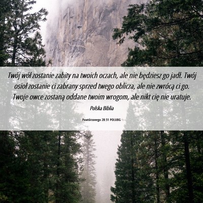 Picture 06 - Powtórzonego 28:31 POLUBG - Twój wół zostanie zabity na twoich oczach, ale - Bible Verse Picture