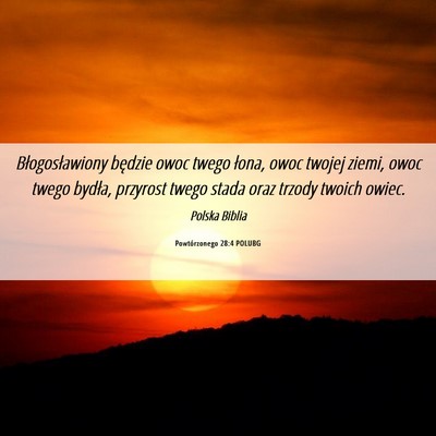 Picture 06 - Powtórzonego 28:4 POLUBG - Błogosławiony będzie owoc twego łona, owoc - Bible Verse Picture