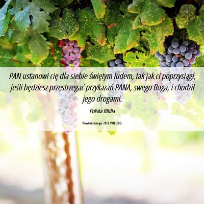 Picture 06 - Powtórzonego 28:9 POLUBG - PAN ustanowi cię dla siebie świętym ludem, tak - Bible Verse Picture