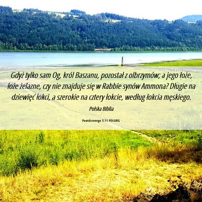 Picture 06 - Powtórzonego 3:11 POLUBG - Gdyż tylko sam Og, król Baszanu, pozostał z - Bible Verse Picture