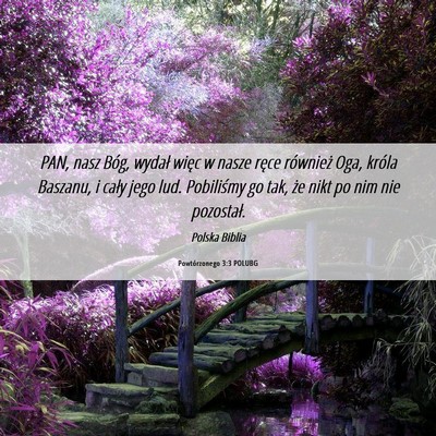 Picture 06 - Powtórzonego 3:3 POLUBG - PAN, nasz Bóg, wydał więc w nasze ręce - Bible Verse Picture