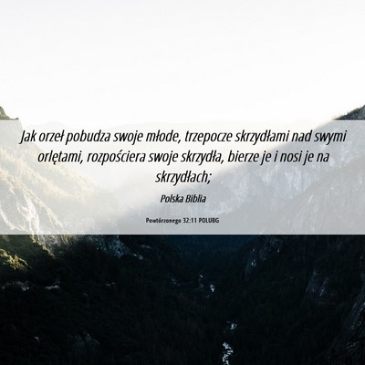 Picture 06 - Powtórzonego 32:11 POLUBG - Jak orzeł pobudza swoje młode, trzepocze - Bible Verse Picture