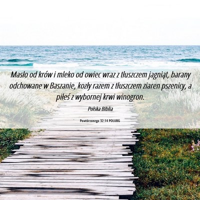 Picture 06 - Powtórzonego 32:14 POLUBG - Masło od krów i mleko od owiec wraz z - Bible Verse Picture