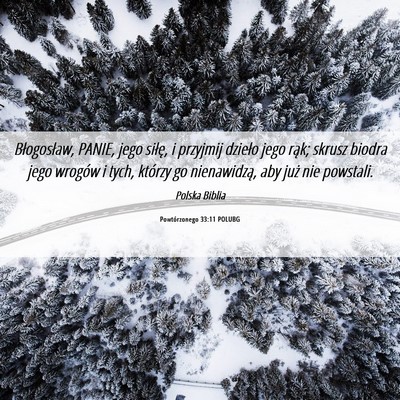 Picture 06 - Powtórzonego 33:11 POLUBG - Błogosław, PANIE, jego siłę, i przyjmij - Bible Verse Picture