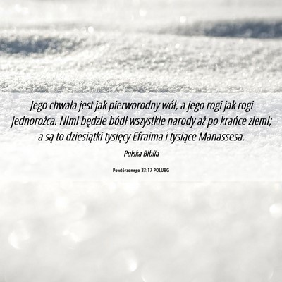 Picture 06 - Powtórzonego 33:17 POLUBG - Jego chwała jest jak pierworodny wół, a jego - Bible Verse Picture