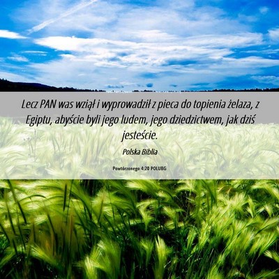 Picture 06 - Powtórzonego 4:20 POLUBG - Lecz PAN was wziął i wyprowadził z pieca do - Bible Verse Picture