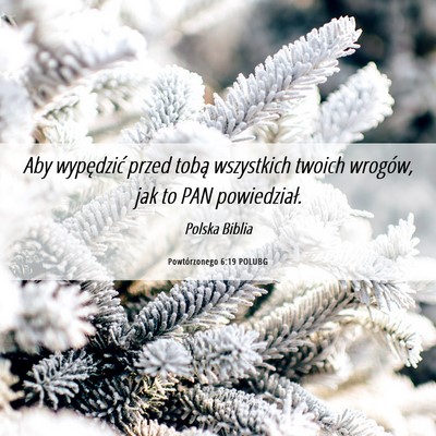 Picture 06 - Powtórzonego 6:19 POLUBG - Aby wypędzić przed tobą wszystkich twoich - Bible Verse Picture