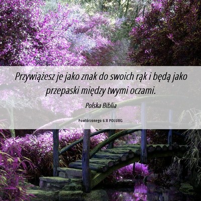 Picture 06 - Powtórzonego 6:8 POLUBG - Przywiążesz je jako znak do swoich rąk i - Bible Verse Picture