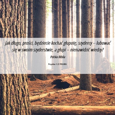 Picture 06 - Przysłów 1:22 POLUBG - Jak długo, prości, będziecie kochać - Bible Verse Picture