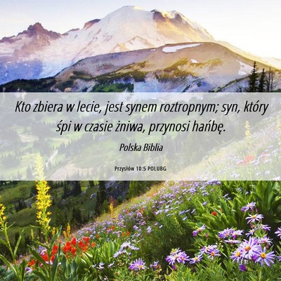 Picture 06 - Przysłów 10:5 POLUBG - Kto zbiera w lecie, jest synem roztropnym; syn, - Bible Verse Picture