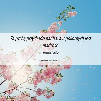 Picture 06 - Przysłów 11:2 POLUBG - Za pychą przychodzi hańba, a u pokornych jest - Bible Verse Picture