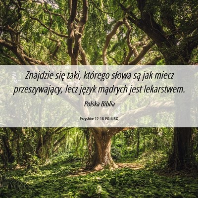 Picture 06 - Przysłów 12:18 POLUBG - Znajdzie się taki, którego słowa są jak miecz - Bible Verse Picture