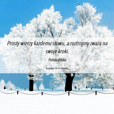Picture 06 - Przysłów 14:15 POLUBG - Prosty wierzy każdemu słowu, a roztropny zważa - Bible Verse Picture