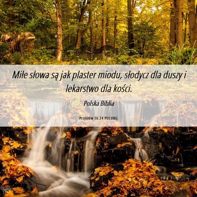 Picture 06 - Przysłów 16:24 POLUBG - Miłe słowa są jak plaster miodu, słodycz dla - Bible Verse Picture
