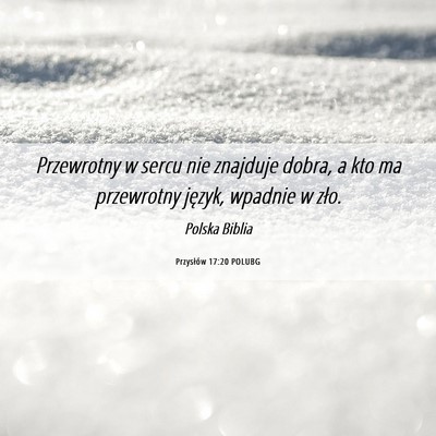 Picture 06 - Przysłów 17:20 POLUBG - Przewrotny w sercu nie znajduje dobra, a kto ma - Bible Verse Picture