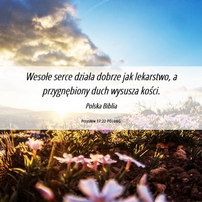Picture 06 - Przysłów 17:22 POLUBG - Wesołe serce działa dobrze jak lekarstwo, a - Bible Verse Picture