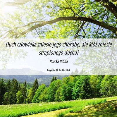 Picture 06 - Przysłów 18:14 POLUBG - Duch człowieka zniesie jego chorobę, ale któż - Bible Verse Picture