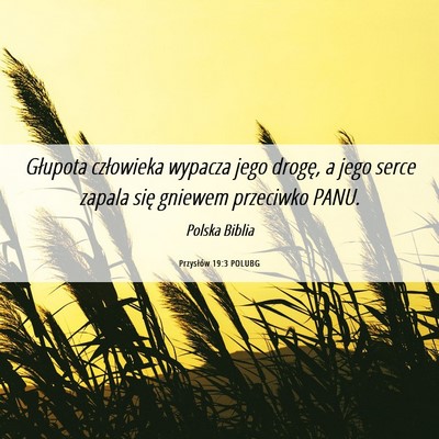 Picture 06 - Przysłów 19:3 POLUBG - Głupota człowieka wypacza jego drogę, a jego - Bible Verse Picture