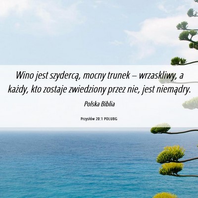 Picture 06 - Przysłów 20:1 POLUBG - Wino jest szydercą, mocny trunek – wrzaskliwy, - Bible Verse Picture