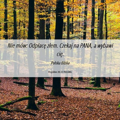 Picture 06 - Przysłów 20:22 POLUBG - Nie mów: Odpłacę złem. Czekaj na PANA, a - Bible Verse Picture