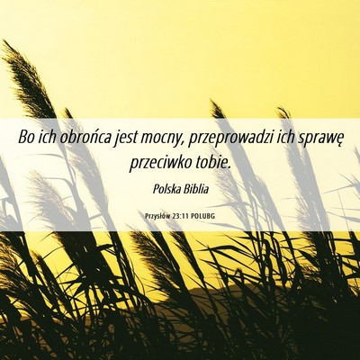Picture 06 - Przysłów 23:11 POLUBG - Bo ich obrońca jest mocny, przeprowadzi ich - Bible Verse Picture