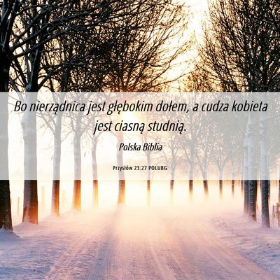 Picture 06 - Przysłów 23:27 POLUBG - Bo nierządnica jest głębokim dołem, a cudza - Bible Verse Picture