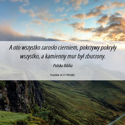 Picture 06 - Przysłów 24:31 POLUBG - A oto wszystko zarosło cierniem, pokrzywy - Bible Verse Picture