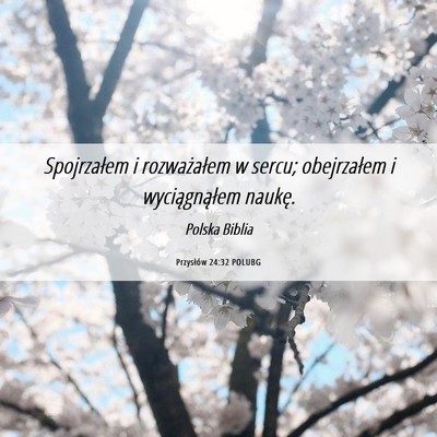 Picture 06 - Przysłów 24:32 POLUBG - Spojrzałem i rozważałem w sercu; obejrzałem i - Bible Verse Picture